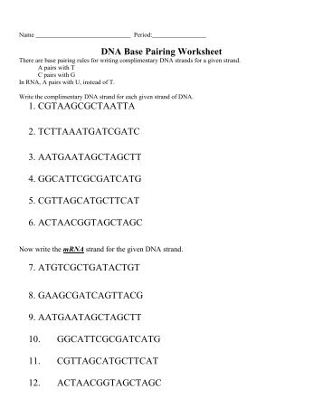 Pairing Magazines Dna Base Pairing Worksheet 1 Cgtaagcgctaatta 2