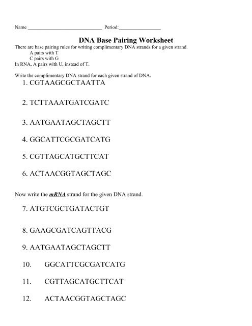 DNA Base Pairing Worksheet 1. CGTAAGCGCTAATTA 2 ...