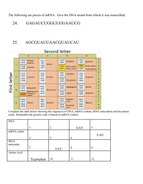 DNA Base Pairing Worksheet 1. CGTAAGCGCTAATTA 2 ...