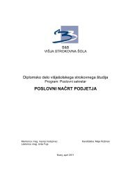 POSLOVNI NAČRT PODJETJA - B&B, doo