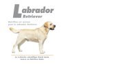 Brochure Prestige - Breed Nutrition - Royal Canin