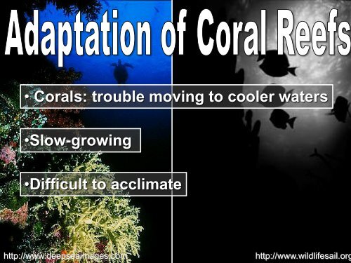 Climate Change Presentation PDF