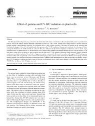 Effect of gamma and UV-B/C radiation on plant cells