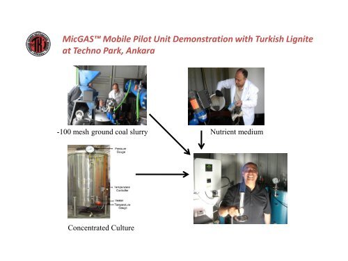 Development of Gasification and Activities in Turkish Coal Enterprises