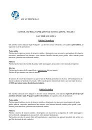 ASF AUTOLINEE srl CAPITOLATO DELLE ... - SPT Linea S.r.l.