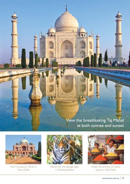 India - Scenic Tours