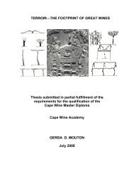 TERROIR THE FOOTPRINT OF GREAT WINES - Cape Wine Academy