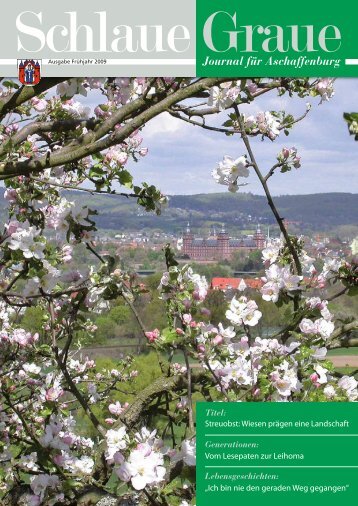 Schlaue Graue - Stadt Aschaffenburg