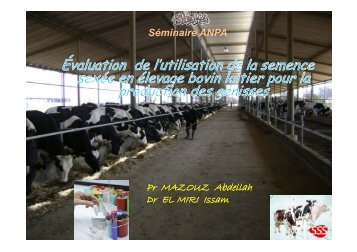 PrÃ©sentation en PDF