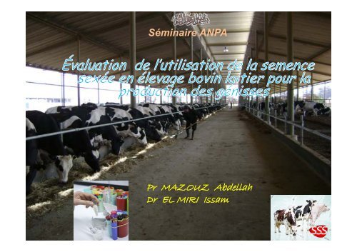 PrÃ©sentation en PDF