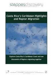 caribbean highlights and raptor migration - Steppes Discovery