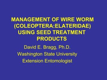 management of wire worm - Spokane County Extension ...