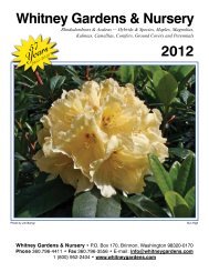 Download the Catalog! - Whitney Gardens & Nursery