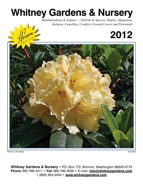 Download the Catalog! - Whitney Gardens amp; Nursery