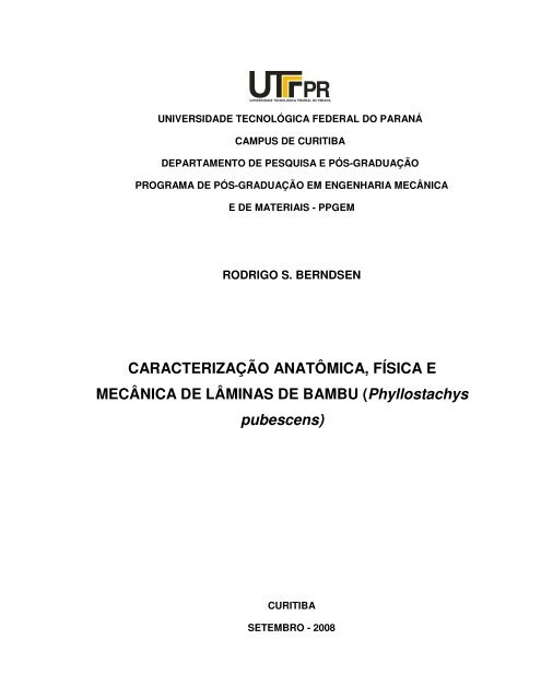 BERNDSEN, Rodrigo.pdf - PPGEM - UTFPR