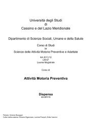 UniversitÃ  degli Studi di Cassino e del Lazio ... - Docente.unicas.it