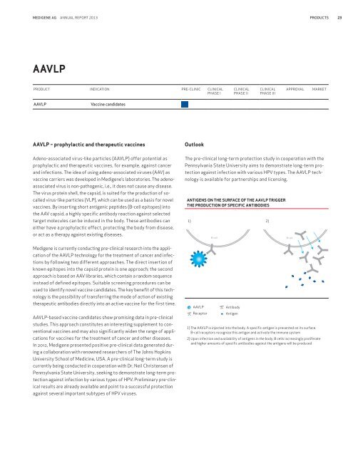 mdg-annual-report-2013