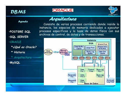 DBMS comerciales