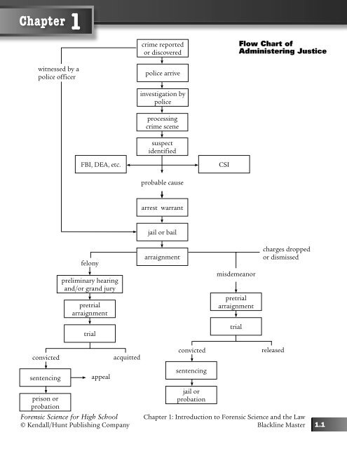 Cercla Process Flow Chart