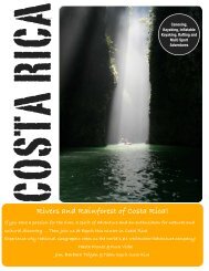 Rivers and Rainforest of Costa Rica! - Esprit Whitewater Worldwide