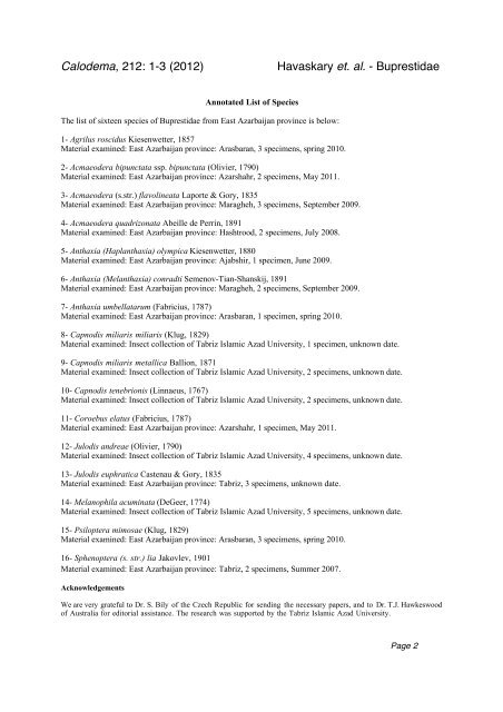 Buprestidae of Iran paper.cwk (WP) - Calodema