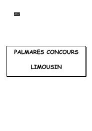 Palmares Limousine - Limousine.org