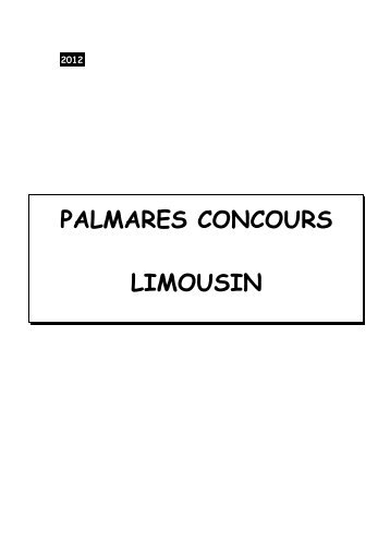 Palmares Limousine - Limousine.org