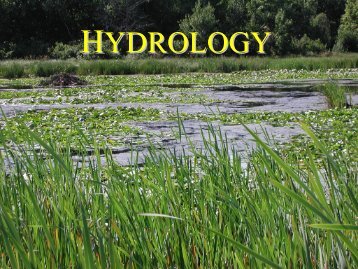 Hydrology Background