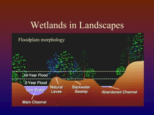 Hydrology Background