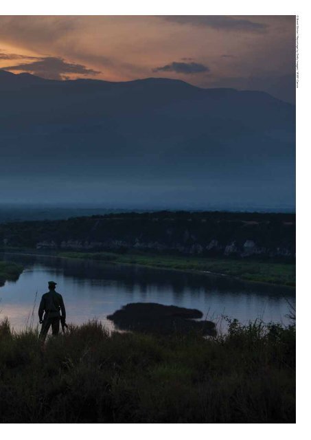 The Economic Value of Virunga National Park - World Wildlife Fund