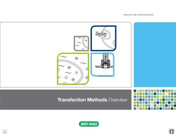 Transfection Methods Overview - Bio-Rad