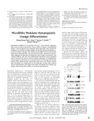 Chen et al., 2004 - Dkfz.de