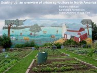 Scaling-up: an overview of urban agriculture in North America