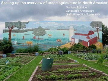 Scaling-up: an overview of urban agriculture in North America