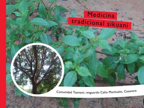 Medicina tradicional sikuani