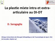 Plastie mixte au DIDT - D. Saragaglia