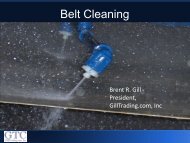 Belt Cleaning