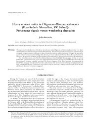 Heavy mineral suites in OligoceneâMiocene sediments - Geologia ...