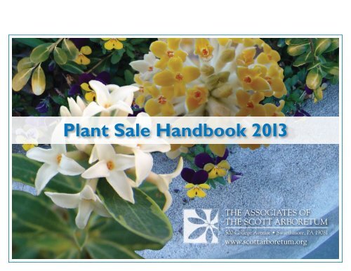 Image of Brunnera vintage jade distylium companion plant