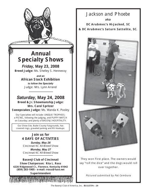 BCOA Bulletin January-February-March 2008 - the Basenji Club of ...