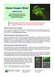 Dense Oxygen Weed Fact Sheet - West Coast Regional Council