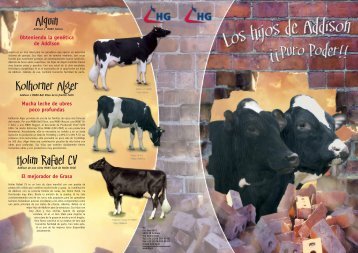 los hijos de addison