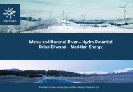Waiau and Hurunui River – Hydro Potential Brian Ellwood ...