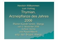 Pflanzenfamilie - beim Verkehrsverein Wangs-Pizol