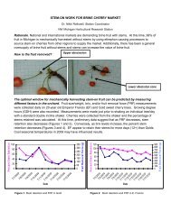 STEM-ON WORK FOR BRINE CHERRY MARKET ... - AgBioResearch