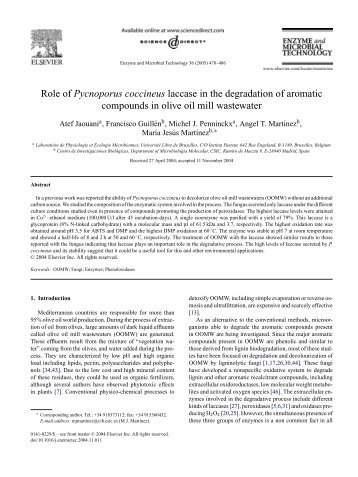 Role of Pycnoporus coccineus laccase in the degradation - Wood ...
