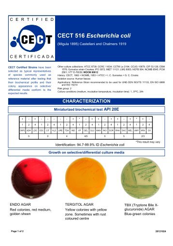 CECT 516 Escherichia coli