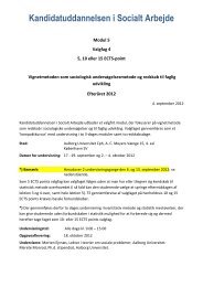 Valgfag 4 - Kandidatuddannelsen i Socialt Arbejde - Aalborg ...
