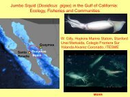Jumbo Squid (Dosidicus gigas) in the Gulf of California: Ecology ...