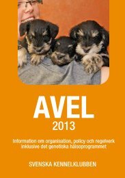 Avel 2013 - Svenska Kennelklubben